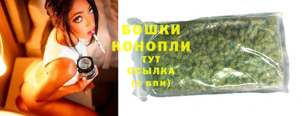дживик Верея