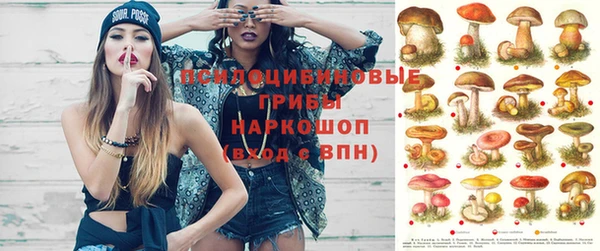 стафф Верхний Тагил