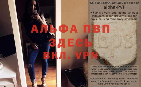 стафф Верхний Тагил