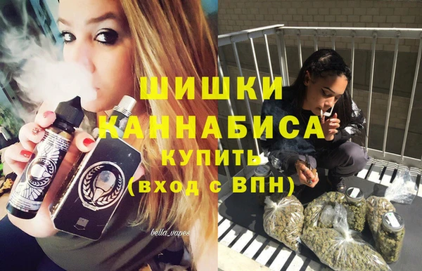 стафф Верхний Тагил