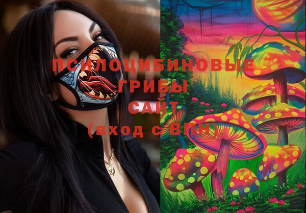 дживик Верея