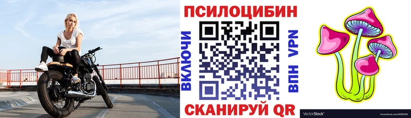 mega как зайти Рубцовск Псилоцибиновые грибы мухоморы