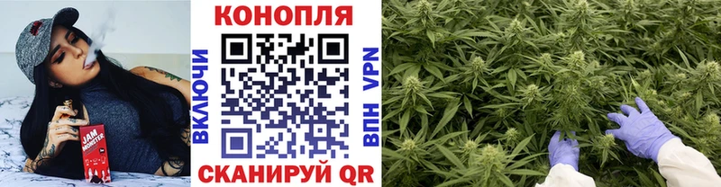 Каннабис планчик Рубцовск